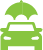Asset 31